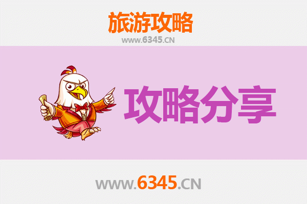 白山靖宇旅游攻略：跟团与自由行全方位对比